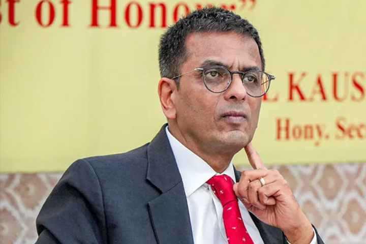 6,844 cases disposed of since Justice Chandrachud became the Chief Justice of India