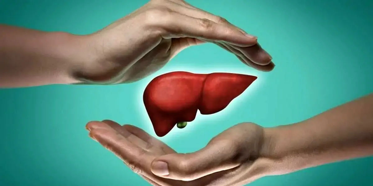 liver