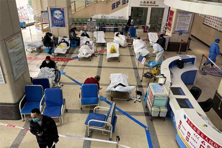 Coronavirus in Japan