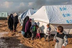 130 million arab population poor according to un survey