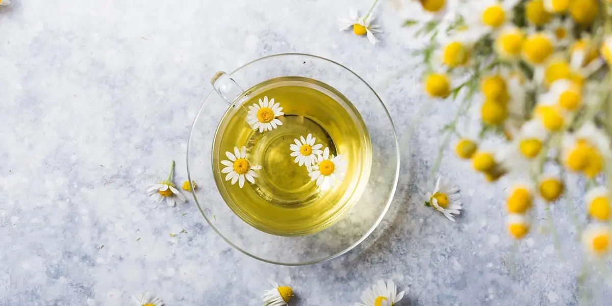 Chamomile 