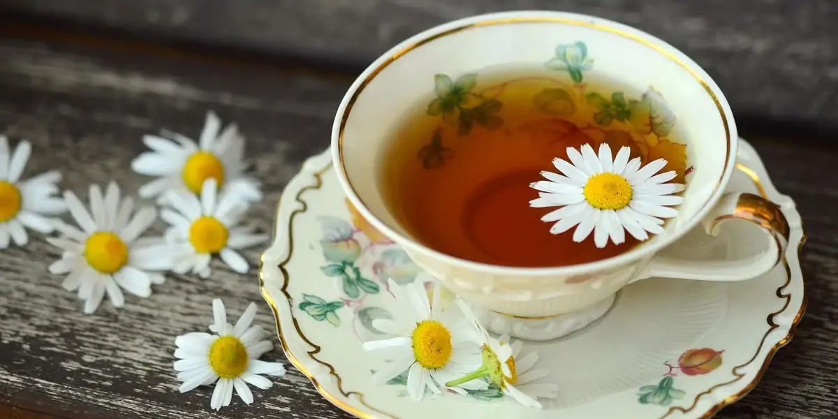 Chamomile