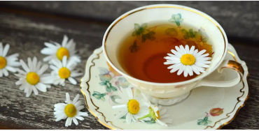 Chamomile
