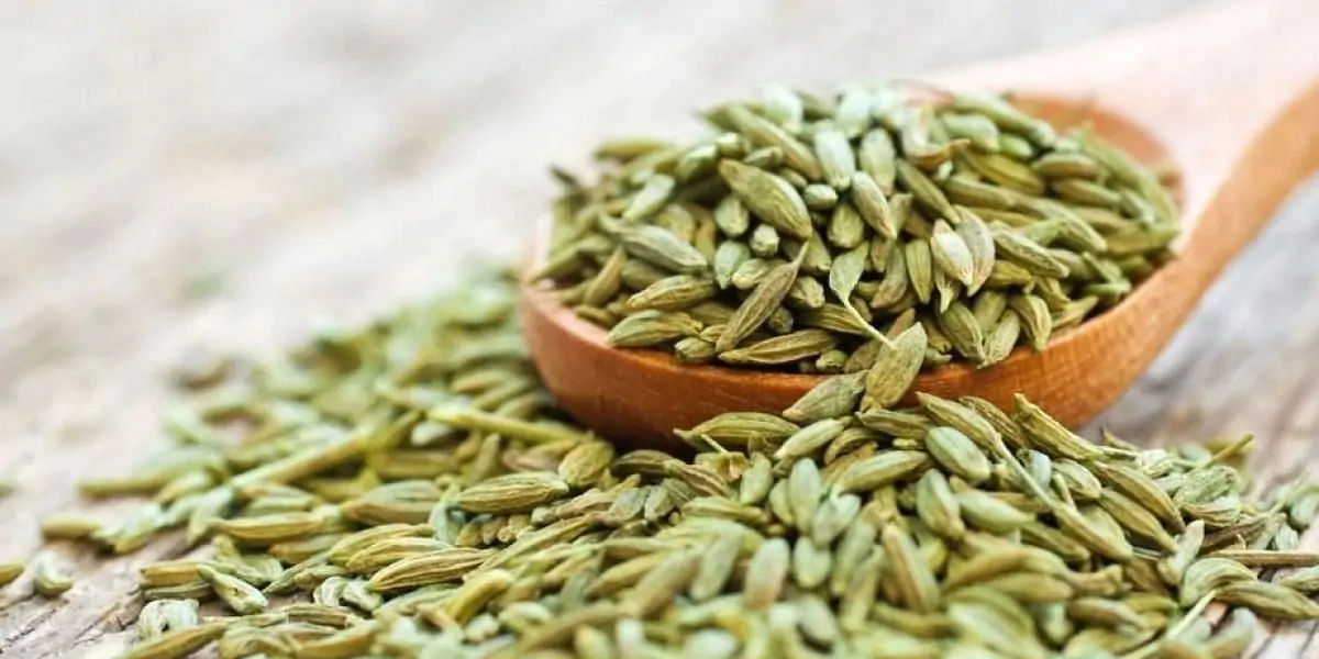 Fennel Seeds