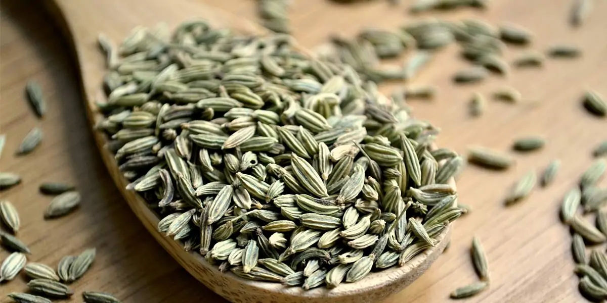 Fennel seeds