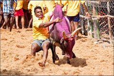 seasons first jallikattu game begins in tamil nadu 35 injured