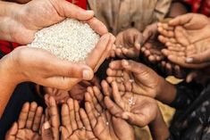 pakistan in deep crisis of starvation wheat stock out in balochistan