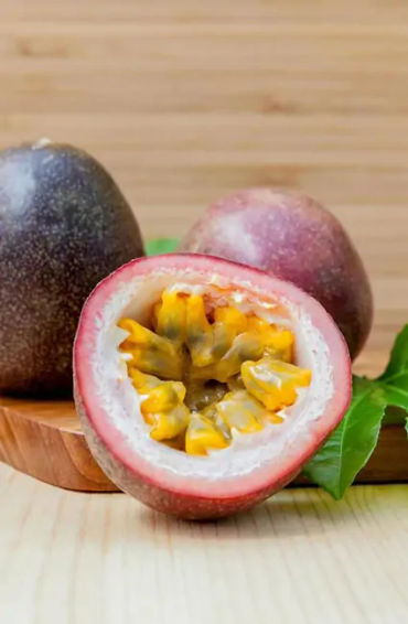 fruits, mimosa pudica