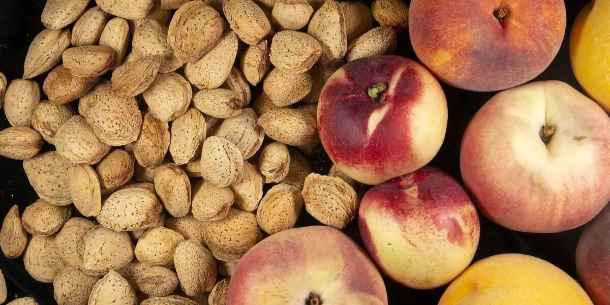 almonds, milk, plant milk