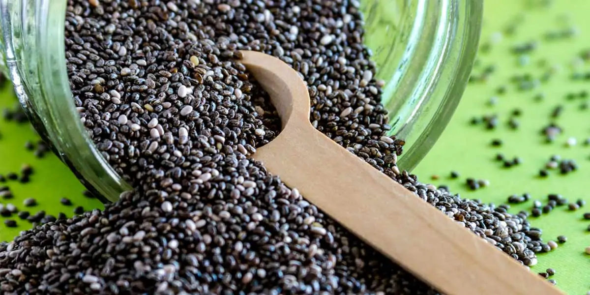 Chia