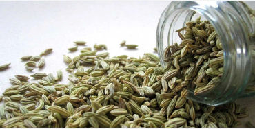 Fennel Seeds