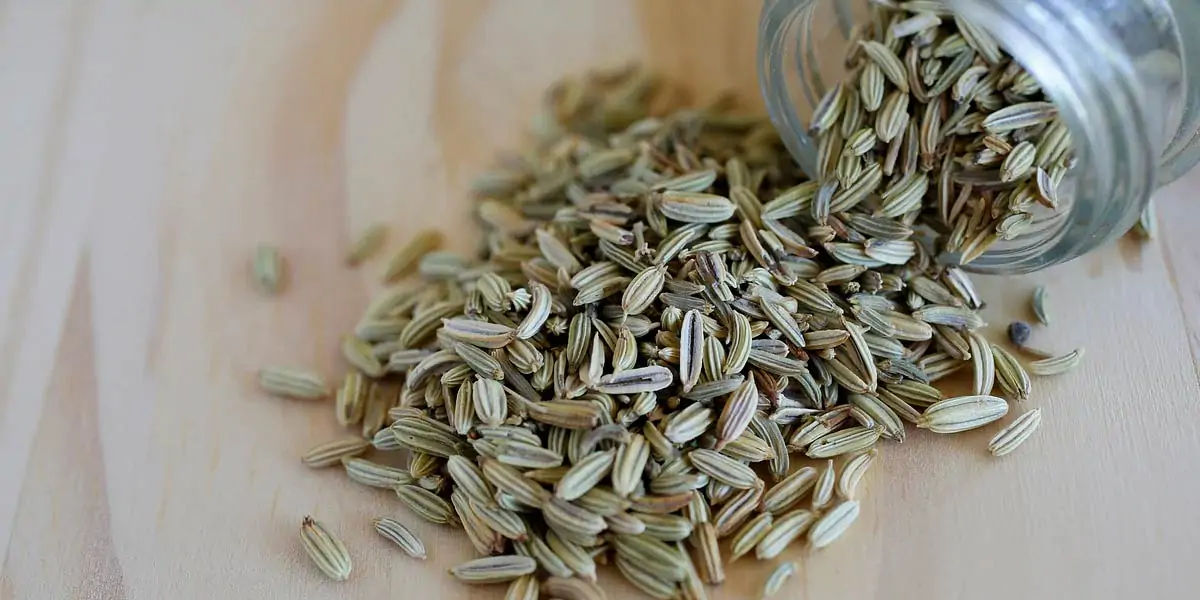 Fennel seeds