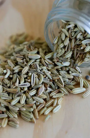 Fennel seeds