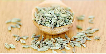  Fennel seed