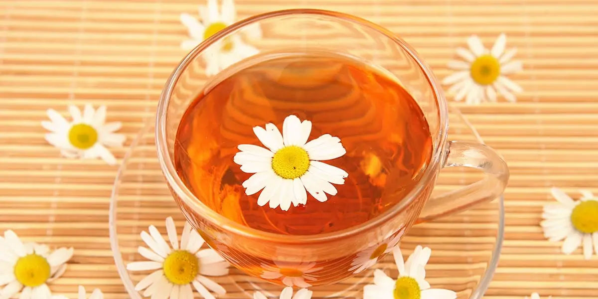 Chamomile tea 