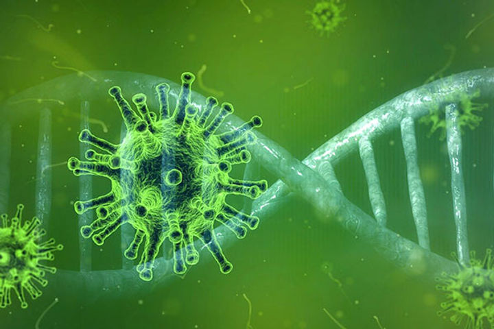 Coronavirus Coronavirus