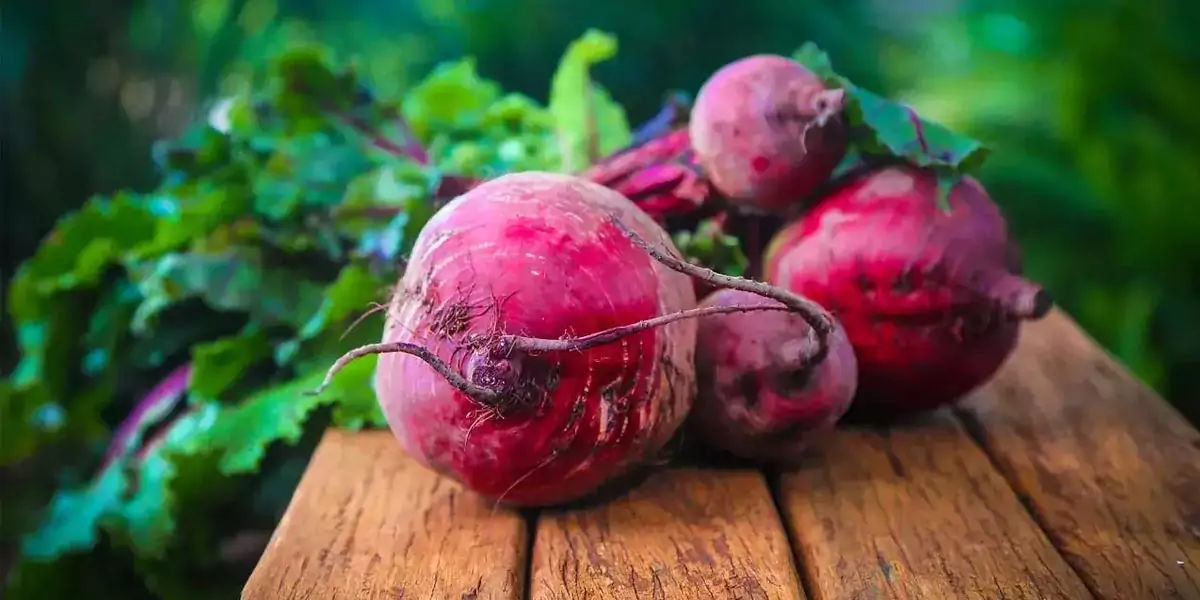 beetroot, beet