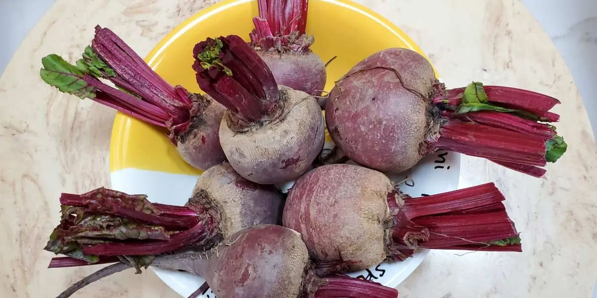 beetroot, beet