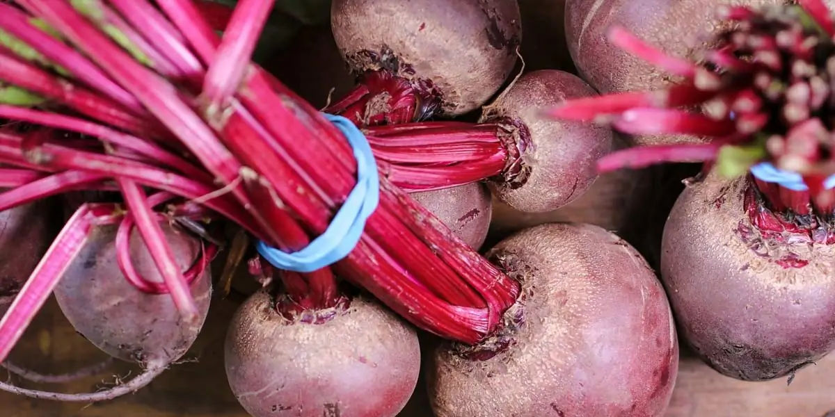 beetroot, beet