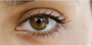 eyebrow