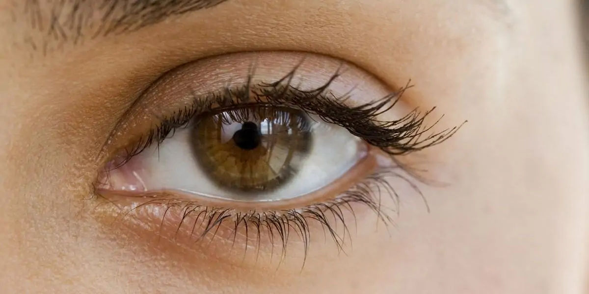 eyebrow