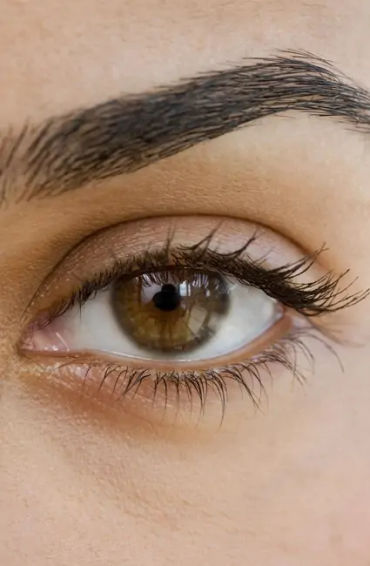eyebrow