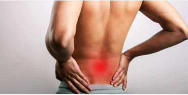 spine, spinalcord