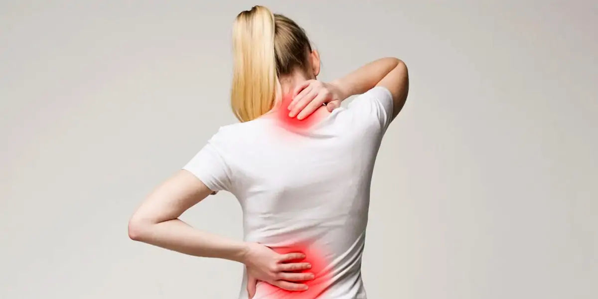 Spine, spinalcord