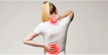 Spine, spinalcord