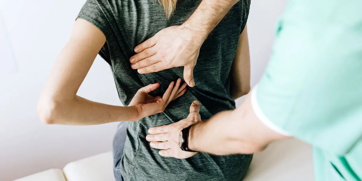 Spine, spinal cord