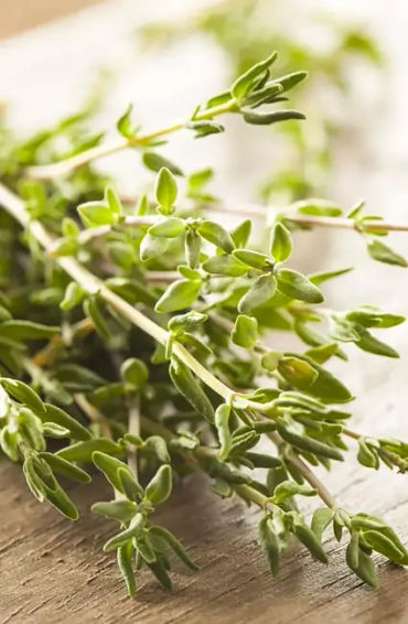 Thyme
