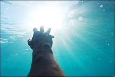 Big accident due to boat capsize in California, eight people died