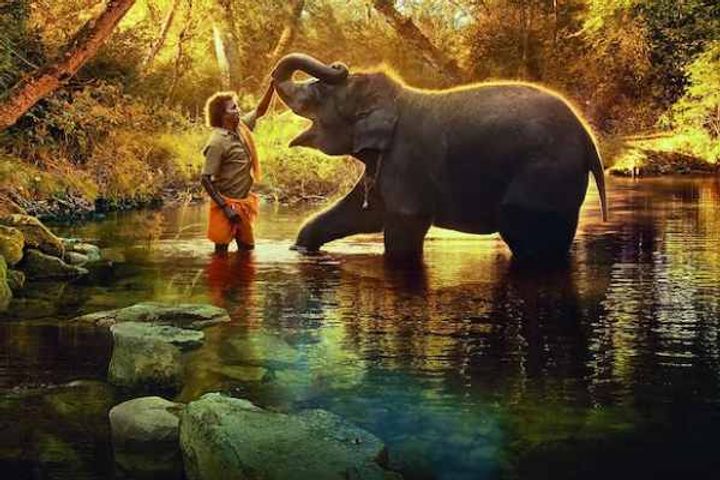 india won the first oscar award the elephant whispers was the best short documentary