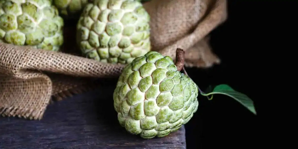 custard apple