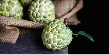 custard apple