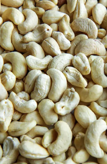 cashew seeds