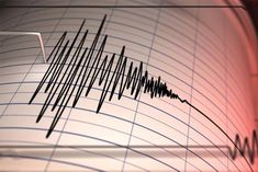 earth shook in new zealand tsunami alert magnitude