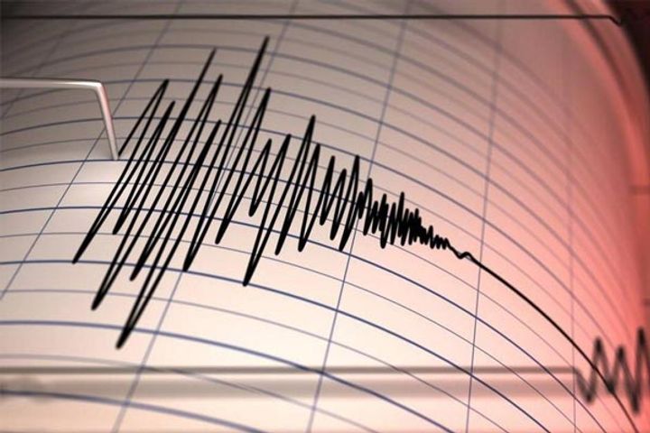 earth shook in new zealand tsunami alert magnitude