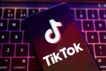 tiktok banned in new zealand after britain
