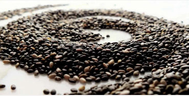 chia seed