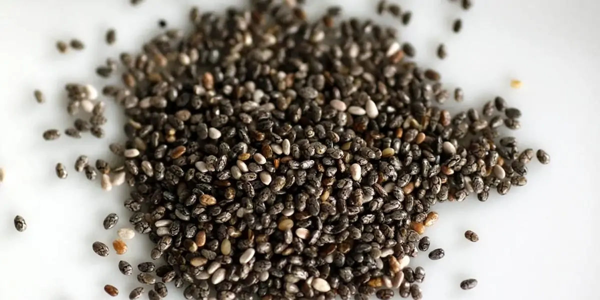 chia seed