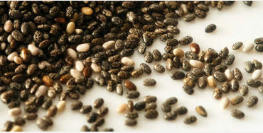 chia seed