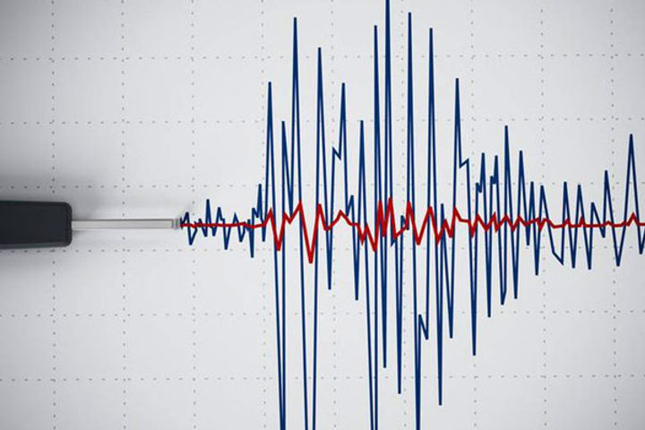 earthquake occurred in many neighboring countries including india