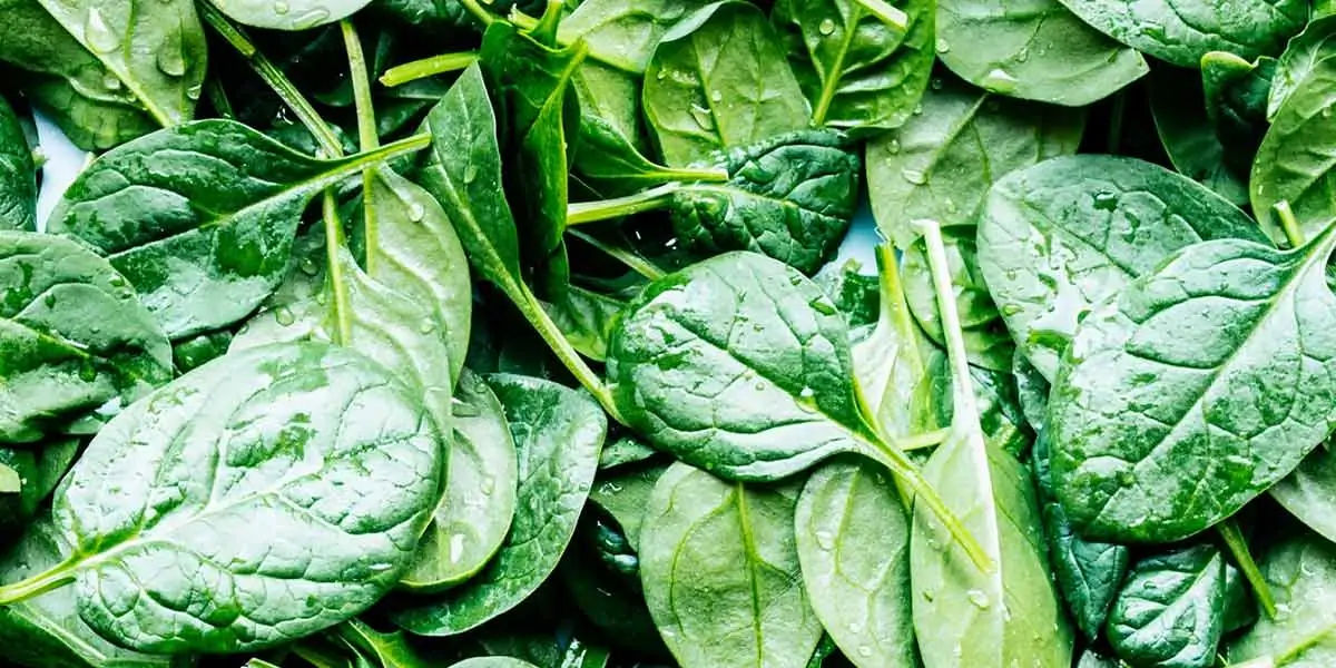 vitamin, green leafy, broccoli, kale, spinach