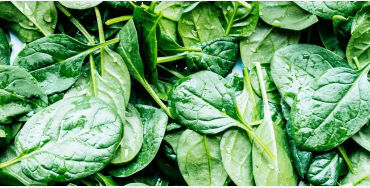 vitamin, green leafy, broccoli, kale, spinach
