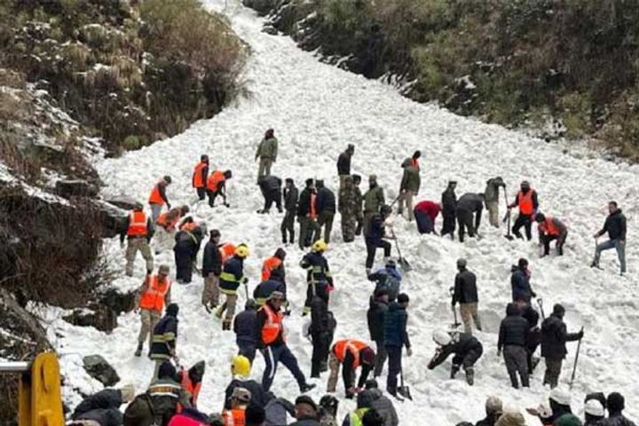 six tourists killed in avalanche in sikkim