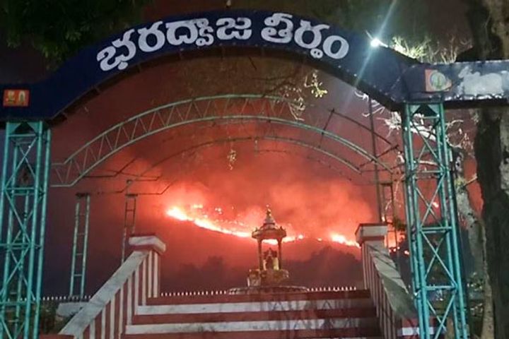 kailasagiri forest fire reaches to srikalahasteeswara temple in andhra pradesh