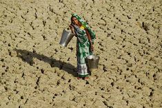 suns heat increased in the country today the average maximum temperature will reach 41 degrees