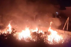 Fire broke out in Biodiversity Park in Delhis Wazirabad Thane and Dhule in Maharashtra also caught f