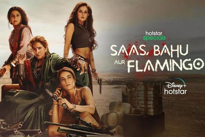 Saas, Bahu Aur Flamingo